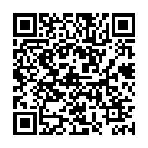 那个牛头魔看到人族的大地骑士找上的居然是自己二维码生成