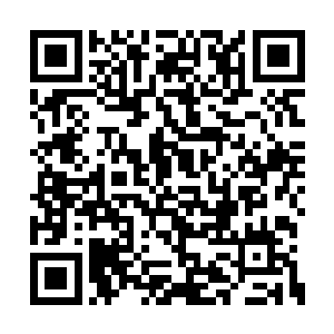 那个独坐的女孩儿不会受到众星捧月一般的待遇二维码生成