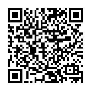 那个皮囊从外面都已经肉眼可见地瘪下去了一大截二维码生成