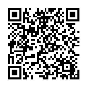 那个看似柔弱的少年贵族拥有如此恐怖的刺杀能力就不说了二维码生成