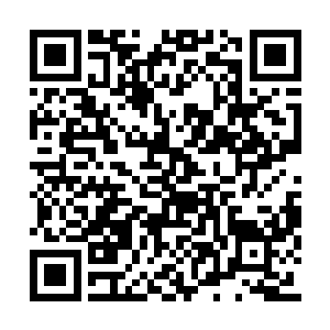 那个看着与宋辰砂依稀一样的元婴已经通体黝黑二维码生成