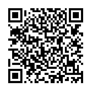 那个看起来不知道是忙还是闲的黄主簿拿来了京城的信二维码生成