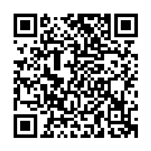 那个老头真拿着手上的一个罗盘一样的东西在房间内推演着什么二维码生成