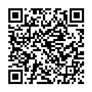 那个肥腻腻的鸡腿就那样直挺挺地向着那一块砖头飞了过去二维码生成