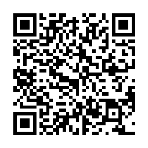 那个胆子不小武功也颇高的小姑娘居然会是自己的表妹二维码生成