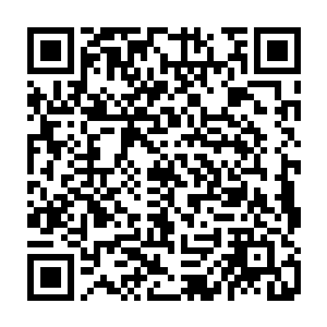 那个苗毅究竟是不是当年万丈红尘开启时在古城曾有一面之缘的那个少年苗毅二维码生成