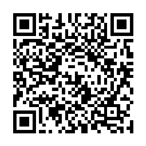 那个荣光……现在韦贝尔真希望当初荣光是一个巴西人二维码生成