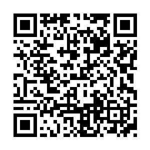 那个融合了猫鼬妖灵的黑金级妖灵师站住了脚步二维码生成