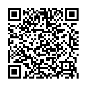 那个被我一拳击中的大包似乎也朝里面缩了一下二维码生成