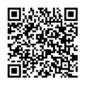 那个被狼狗咬了的老人扑通一下跪在了黄晓丽的面前二维码生成