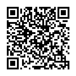 那个许紫烟在几天前已经离开了上元盟前来黑幕平原了二维码生成