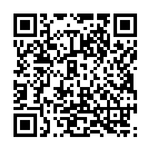 那个负责研究新布的小作坊原本由苏檀儿亲自负责二维码生成