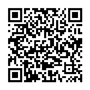 那个践人也敢对我动手……我好恨啊……那个践人二维码生成