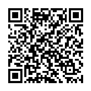 那个躲藏在树洞之内的修士就被收进了如意宝瓶之内二维码生成