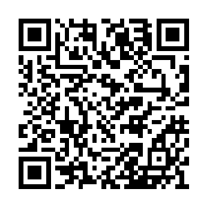那个车模居然配合着池佳一摆出了剪刀手的姿势二维码生成