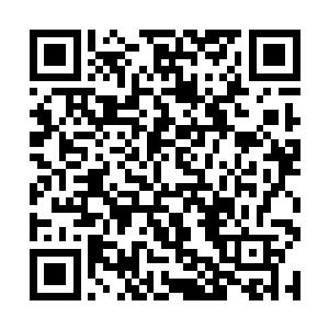 那个连四爷心心念念甚至不惜为她同自己争执的莺歌二维码生成