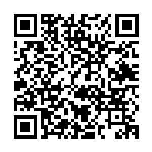 那个金头发的家伙就把我给抓进来了――我不知道你在说些什么二维码生成