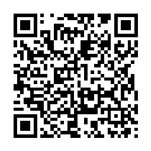 那个领头的人趁着东方浩然还没有无暇顾及到自己二维码生成