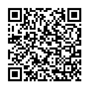 那个马文男爵不可能放弃自己的生命去救他弟弟的二维码生成