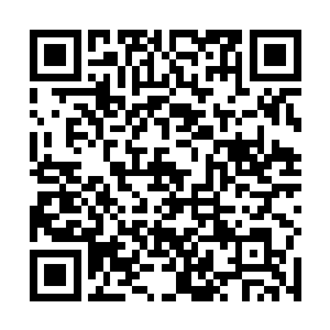 那个鬼帅和几个鬼将戴琳着无数的罗刹释放出无尽死气二维码生成