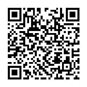 那么丁羽将来的时候就不会怪罪到自己的头上面吧二维码生成