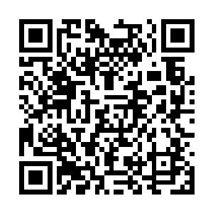 那么主办方……总不会是开发组或者是别的玩家吧二维码生成