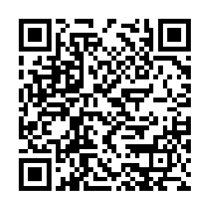 那么也就不排除会在现任市政府班子成员里边选人二维码生成