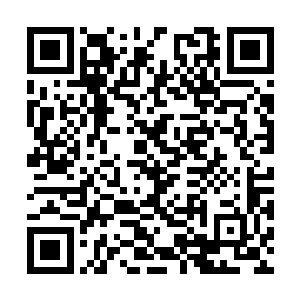 那么他也会想对方什么时候会放出第二次的奥义呢二维码生成