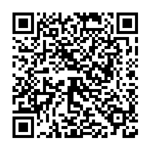 那么他们两个人……要么被成千上万的冥兽啃成连骨头渣都留不下来二维码生成