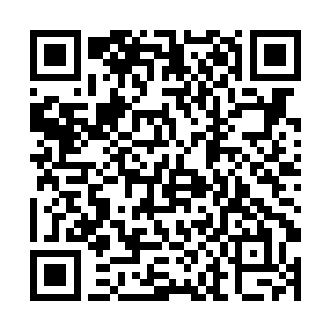 那么他们由于五属性灵根就有的爆发力优势也没有了二维码生成