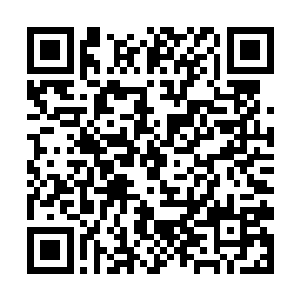 那么他偷偷摸摸在其中一台测试用灵能傀儡的晶脑内二维码生成