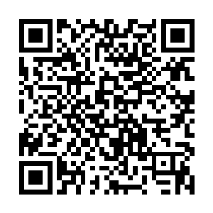 那么他的身躯就会被那藤蔓击穿……这不是开玩笑的二维码生成