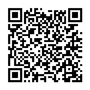 那么以后不就谁都能蹬鼻子上脸来祸害慕容家族么二维码生成