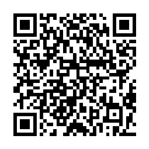 那么以她一个才相当于练气期的小修士又如何能反驳的了二维码生成