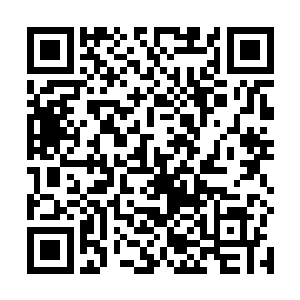 那么会不会以后就只能收入一些比掌心还要小的东西啊二维码生成