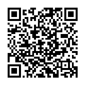 那么你的所有资料就会全部上报到雇佣兵的总部去二维码生成