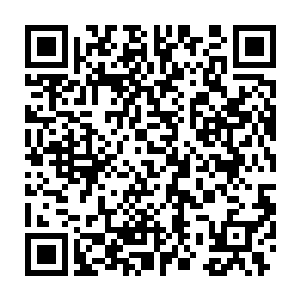 那么全球性的经济危机就等于老天爷在未愈的伤口上再划一道口子二维码生成