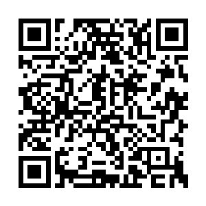 那么前往远处的那座火山岂不是要划行很久很久二维码生成