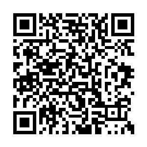 那么即便面对比自己厉害上几个级别的修真强者二维码生成