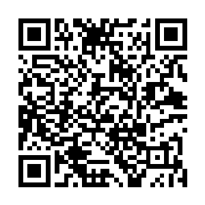 那么厉害的怪虎居然都被这小小的一张符纸给焚成了灰烬二维码生成