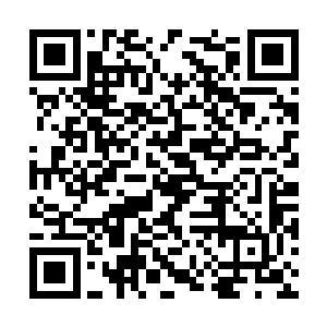 那么多漂亮的女演员我可就不能在第一时间看到了二维码生成