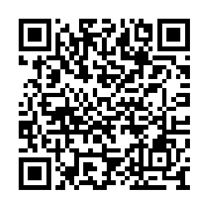 那么多的东西夏天就算是全都装入储物装备里面二维码生成