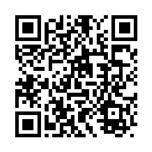 那么大一只的雪狼小时候才只有这么大一点二维码生成