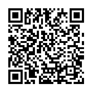 那么大的肚子你非要他收腹挺胸和云峥站成一排二维码生成