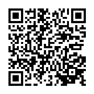 那么大的野兽都没有看到如果不是蠢的太死那就是故意的二维码生成