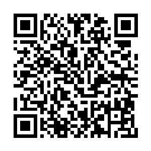 那么天启组织对观察者的抹杀也有了另一层解释二维码生成