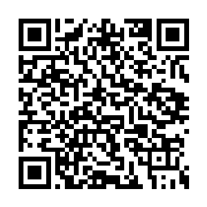 那么她们每年要拿走瑜季芳一层的利润做为酬劳二维码生成