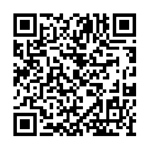 那么她刚刚建立起来的识海空间恐怕就要…崩溃二维码生成