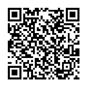 那么她唯一能想到的便是这其中是否有些相克之物二维码生成