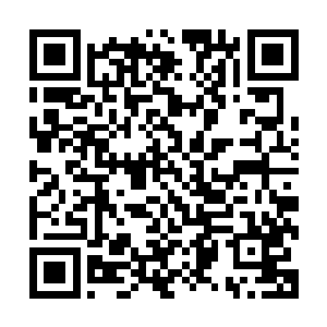 那么她就是在通过学习杨奎的招式在提高自己的近身战斗能力二维码生成